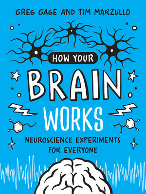 cover image of How Your Brain Works